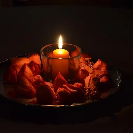 La Saisonneraie